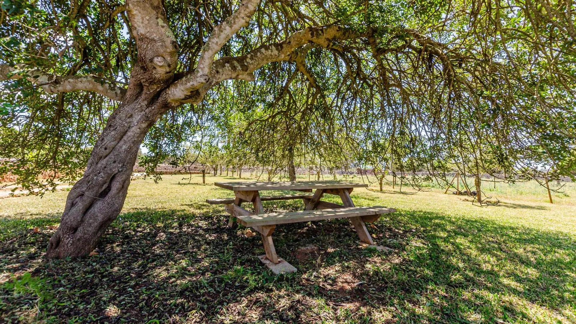 Yourhouse Agroturismo Can Porreti Sa Rota Lloret de Vistalegre